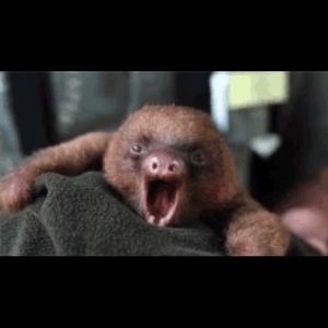 Meet your Posher, Enrique